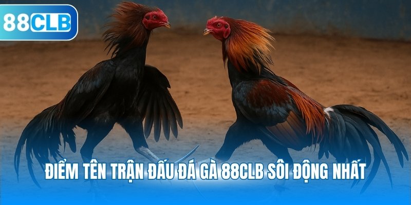 Điểm tên trận đấu đá gà 88CLB sôi động nhất